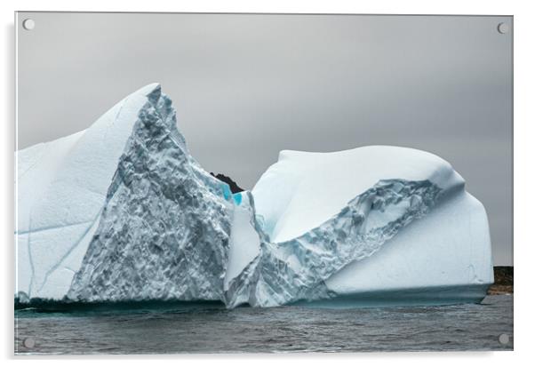 Amazing texture and pattern in an iceberg  Acrylic by Ian Duffield