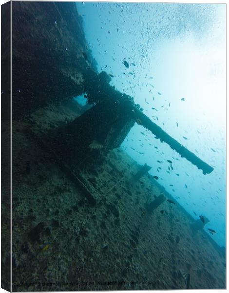Red Sea Thistlegorm Wreck Canvas Print by Dietmar Rauscher