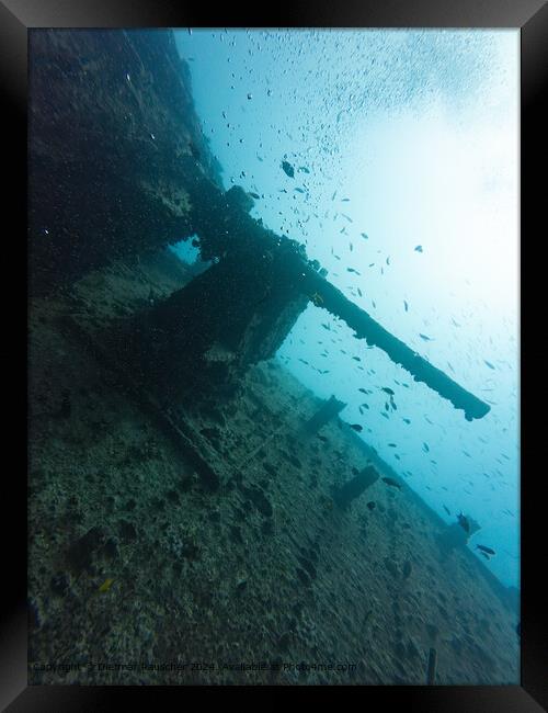 Red Sea Thistlegorm Wreck Framed Print by Dietmar Rauscher