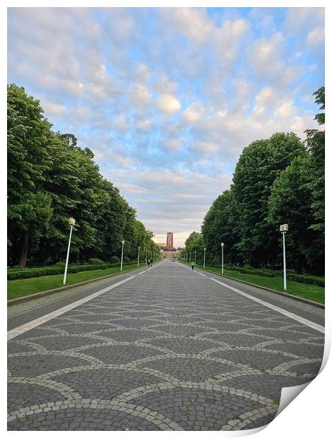 Symmetric Road Statue Monument in Carol Park Print by Radu Duduta