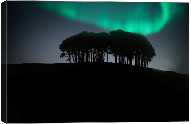 Coming Home Trees Aurora Borealis Canvas Print by Alison Chambers