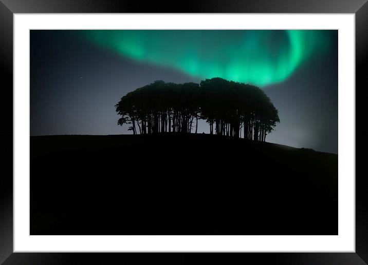 Coming Home Trees Aurora Borealis Framed Mounted Print by Alison Chambers