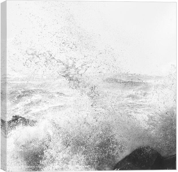 Splash, Ciaran Storm 2023 Canvas Print by Stefano Orazzini