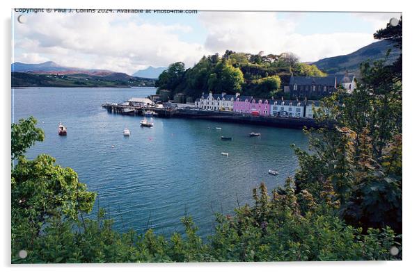 Portree Harbour and Quayside Acrylic by Paul J. Collins
