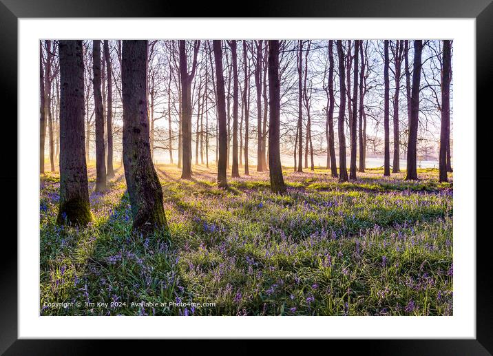 English Bluebell Wood   Framed Mounted Print by Jim Key
