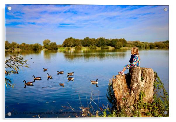 Serene Lake Reflections Kingsbury Water Park in Warwickshire Acrylic by Alice Rose Lenton