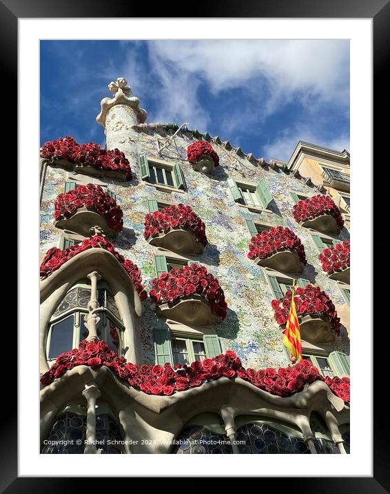 Gaudi Rose Balconies on Festival of Sant Jordi Framed Mounted Print by Rachel Schroeder