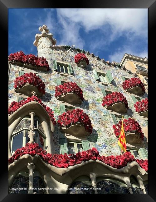 Gaudi Rose Balconies on Festival of Sant Jordi Framed Print by Rachel Schroeder