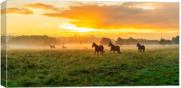 Lincoln Sunrise Horse Landscape Canvas Print by Andrew Scott