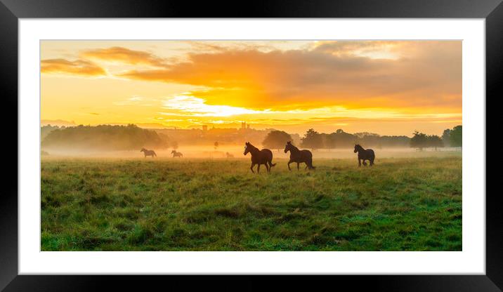 Lincoln Sunrise Horse Landscape Framed Mounted Print by Andrew Scott