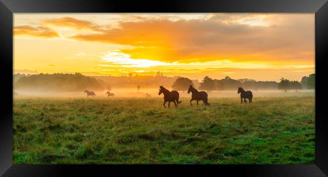 Lincoln Sunrise Horse Landscape Framed Print by Andrew Scott