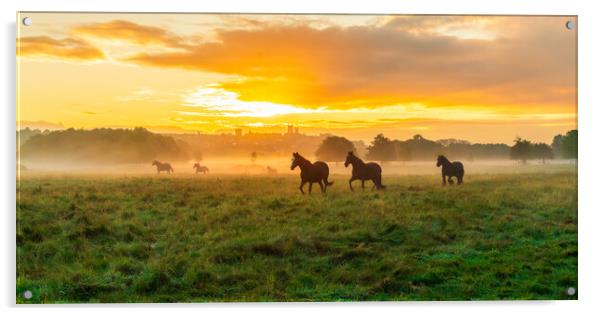 Lincoln Sunrise Horse Landscape Acrylic by Andrew Scott