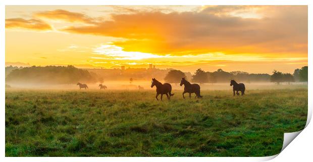 Lincoln Sunrise Horse Landscape Print by Andrew Scott