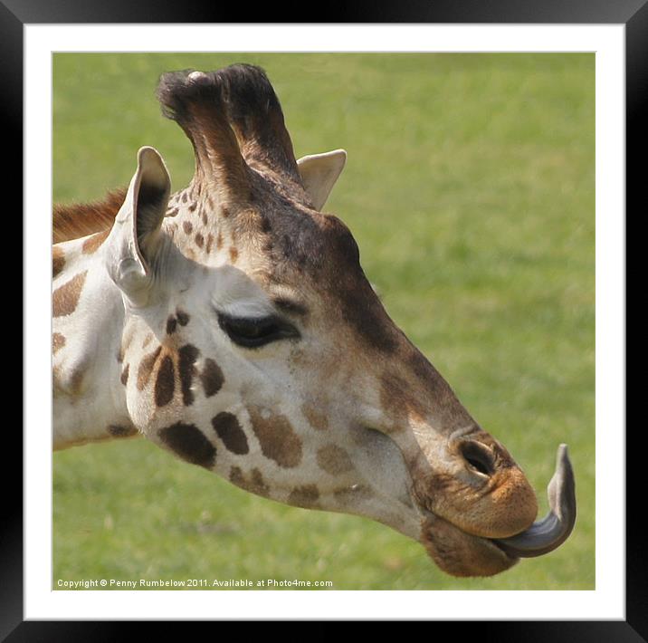 lip smackingly good Framed Mounted Print by Elouera Photography