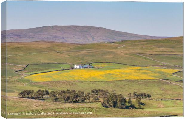 Springtime in Harwood, Upper Teesdale Canvas Print by Richard Laidler