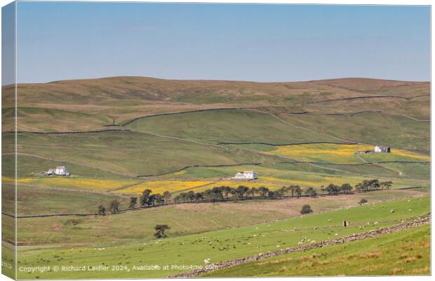 Harwood Spring Meadows, Upper Teesdale Canvas Print by Richard Laidler