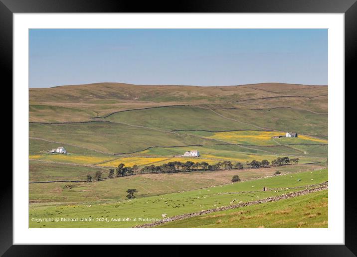 Harwood Spring Meadows, Upper Teesdale Framed Mounted Print by Richard Laidler
