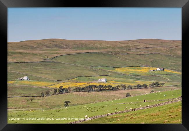 Harwood Spring Meadows, Upper Teesdale Framed Print by Richard Laidler