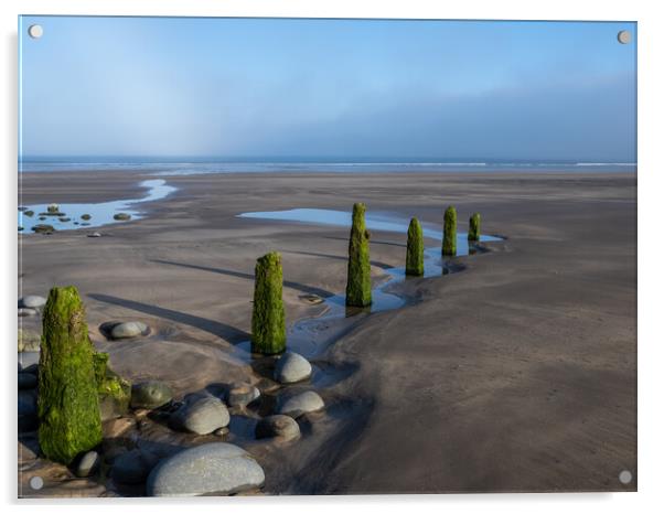 Mossy beach groynes Acrylic by Tony Twyman