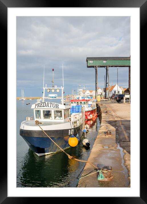 Fishing boats moored in Wells harbour Framed Mounted Print by Jason Wells