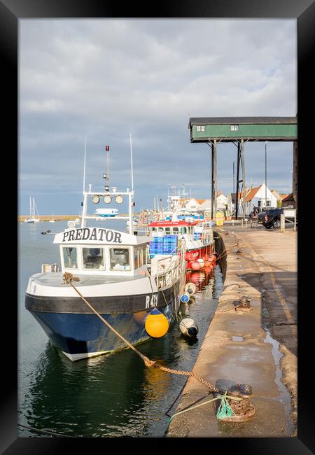 Fishing boats moored in Wells harbour Framed Print by Jason Wells