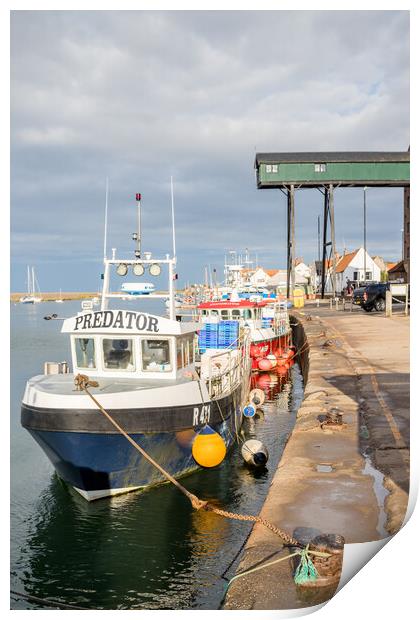 Fishing boats moored in Wells harbour Print by Jason Wells