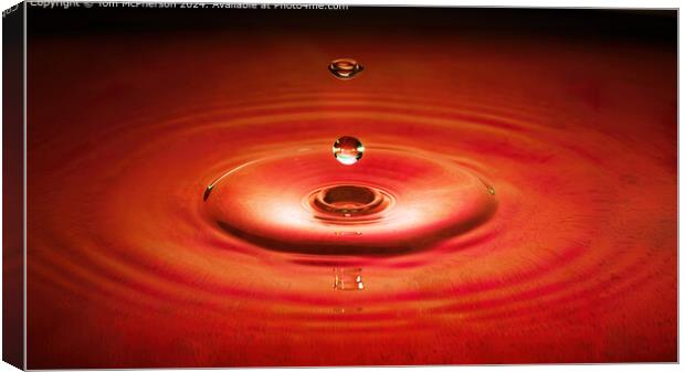 Red Water Droplet Circles Canvas Print by Tom McPherson