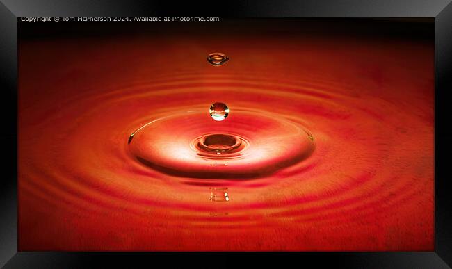Red Water Droplet Circles Framed Print by Tom McPherson