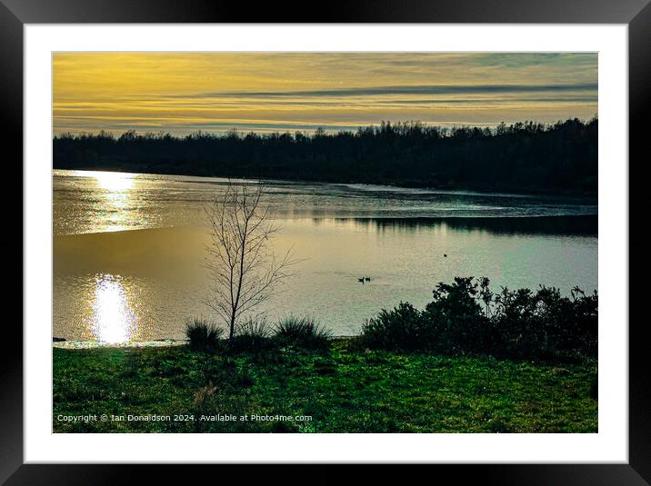 Golden Reflections  Framed Mounted Print by Ian Donaldson