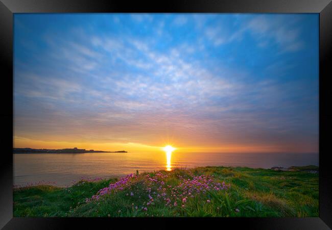 Newquay Sunset Framed Print by Alison Chambers
