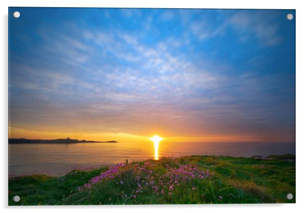 Newquay Sunset Acrylic by Alison Chambers