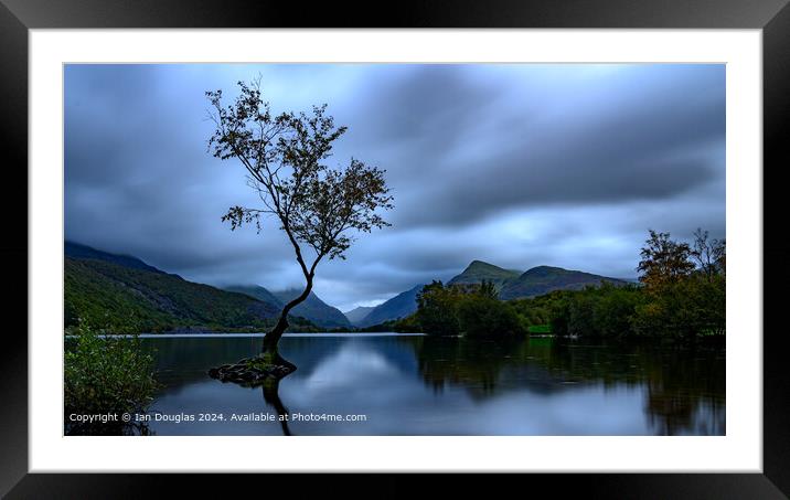 Lone Tree Sunrise Landscape Framed Mounted Print by Ian Douglas