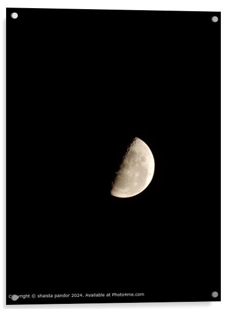 Moon, Detail, Astronomy Acrylic by shaista pandor
