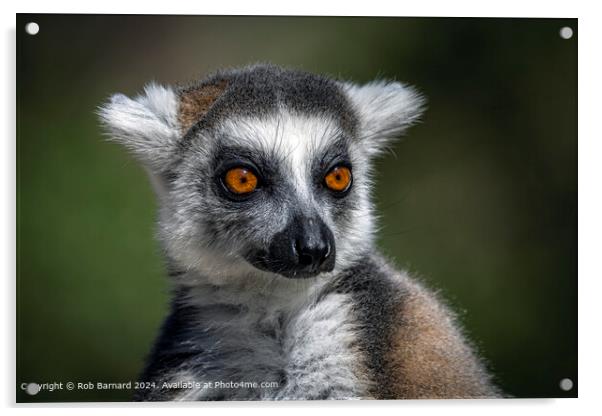Ring-tailed Lemur in Green Acrylic by Rob Barnard