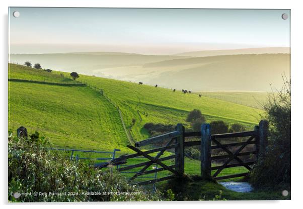 South Downs Gate Landscape Acrylic by Rob Barnard