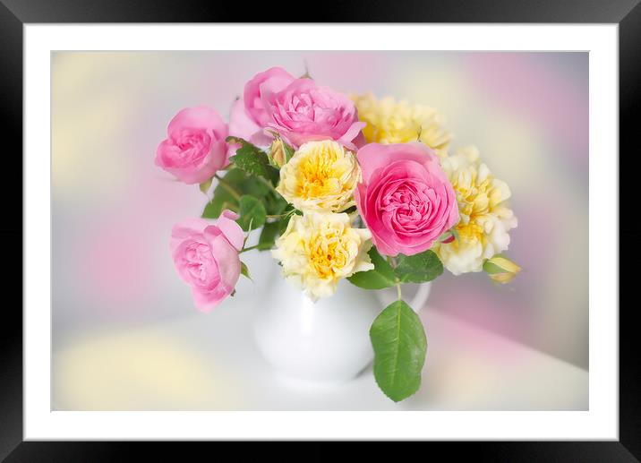 Roses Framed Mounted Print by Alison Chambers