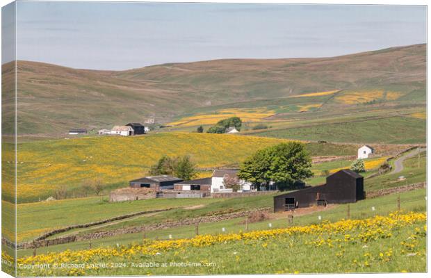 Springtime at Lingy Hill Farm, Harwood, Upper Tees Canvas Print by Richard Laidler