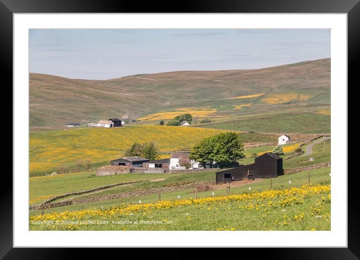 Springtime at Lingy Hill Farm, Harwood, Upper Tees Framed Mounted Print by Richard Laidler
