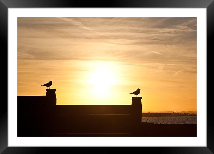 Whitstable Beach Sunset Framed Mounted Print by Robert Coffey