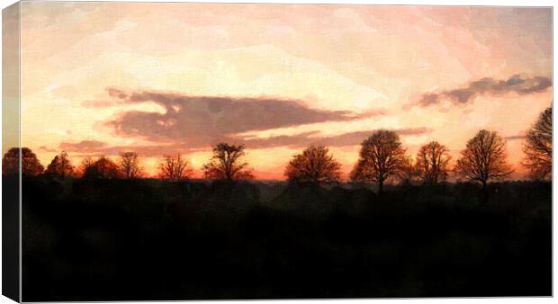Clifton Down Winter Sunset Canvas Print by Steve Painter