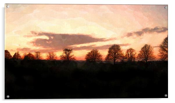 Clifton Down Winter Sunset Acrylic by Steve Painter