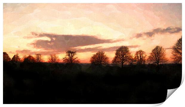 Clifton Down Winter Sunset Print by Steve Painter