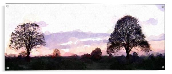 Clifton Down Winter Sunset Acrylic by Steve Painter