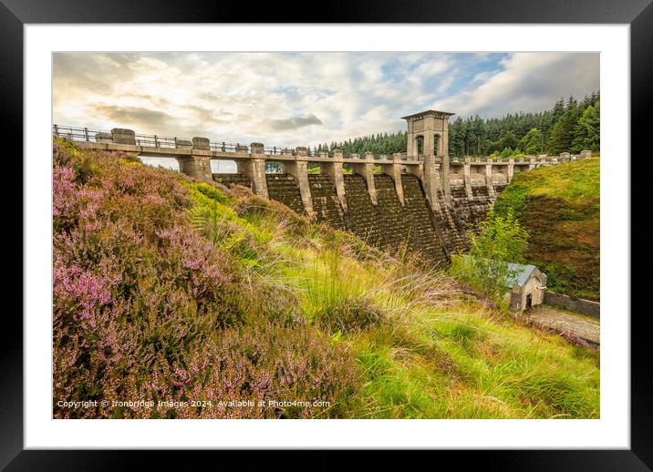 Welsh Heather by Alwen Reservoir  Framed Mounted Print by Ironbridge Images