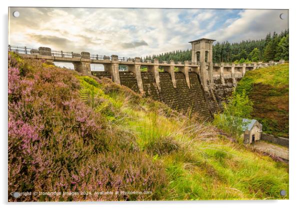 Welsh Heather by Alwen Reservoir  Acrylic by Ironbridge Images