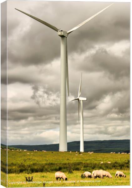Wind Turbines and Sheep Canvas Print by Ironbridge Images