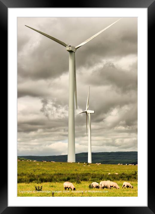 Wind Turbines and Sheep Framed Mounted Print by Ironbridge Images