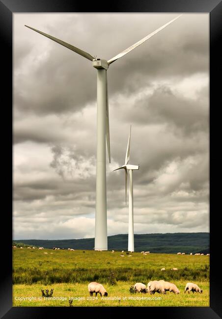 Wind Turbines and Sheep Framed Print by Ironbridge Images
