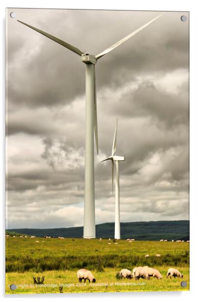 Wind Turbines and Sheep Acrylic by Ironbridge Images