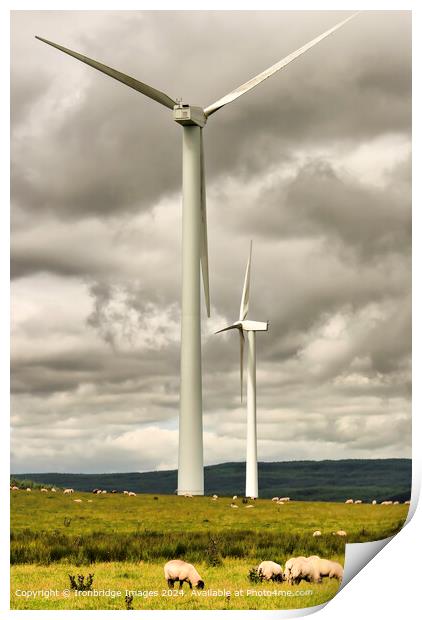 Wind Turbines and Sheep Print by Ironbridge Images